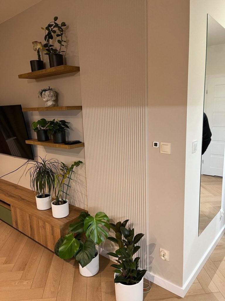 Salon z półkami i roślinami